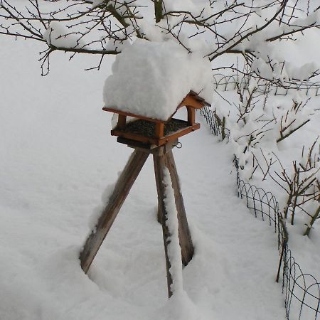 Fewo Talula - Sauerland Mit Hund Medebach Exterior photo