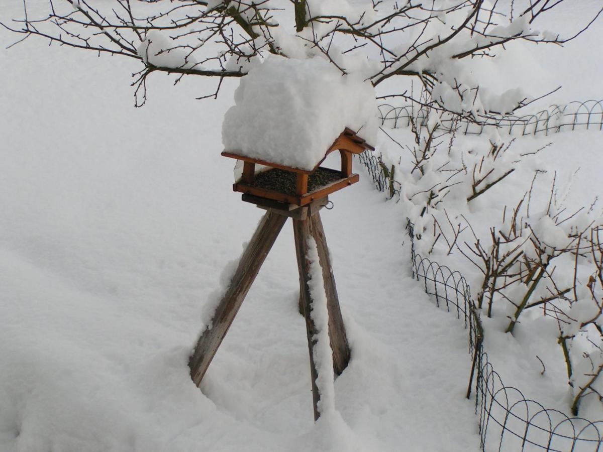 Fewo Talula - Sauerland Mit Hund Medebach Exterior photo