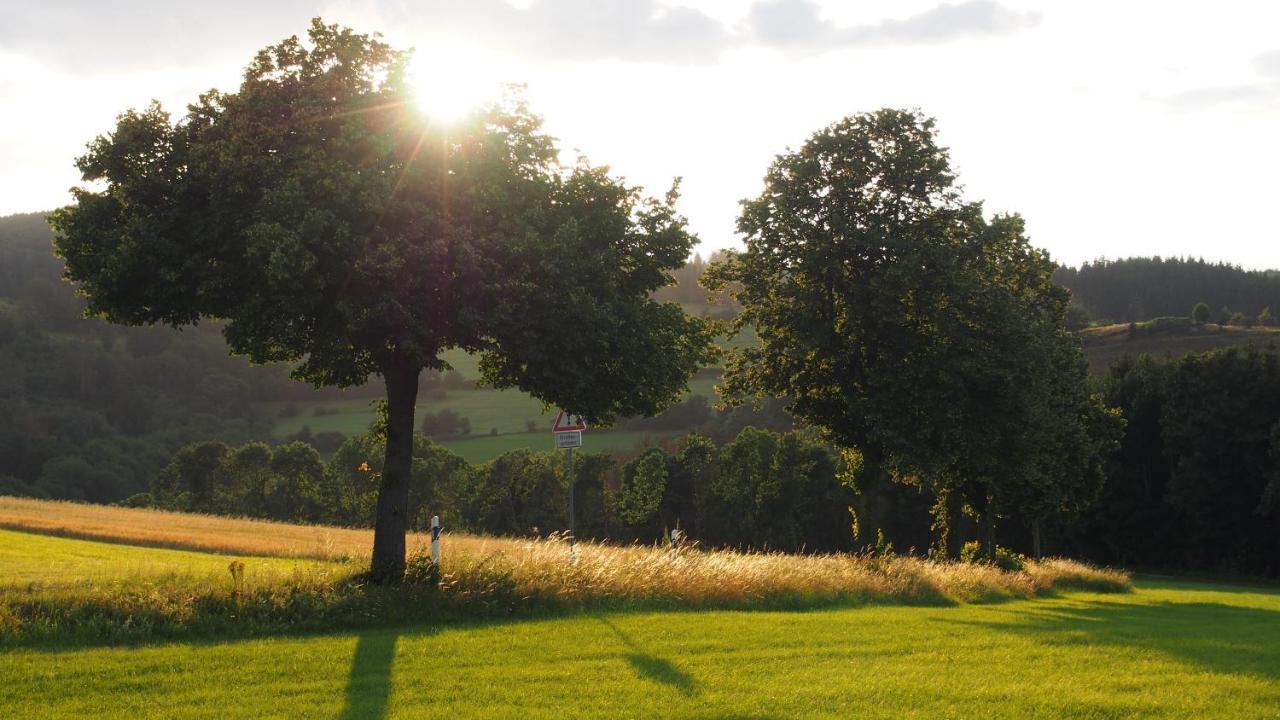 Fewo Talula - Sauerland Mit Hund Medebach Exterior photo