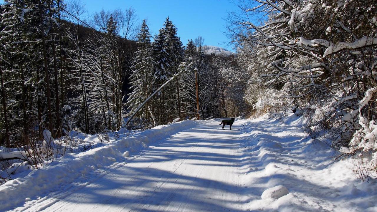 Fewo Talula - Sauerland Mit Hund Medebach Exterior photo