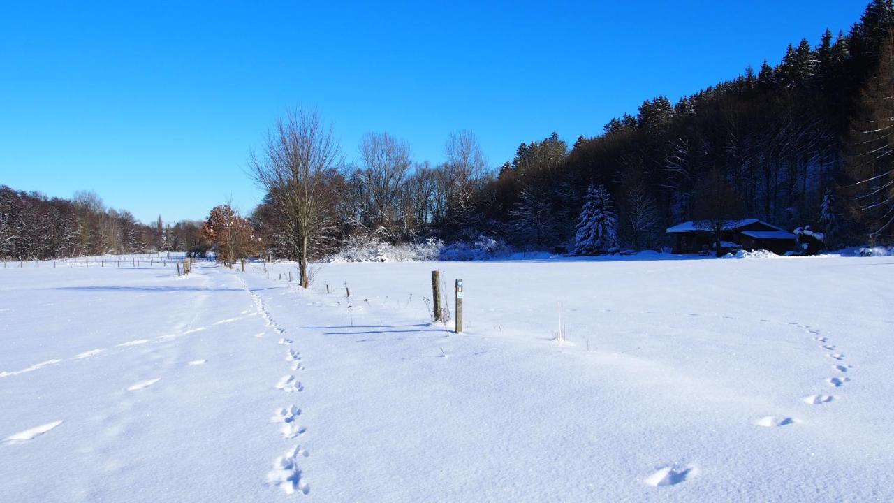 Fewo Talula - Sauerland Mit Hund Medebach Exterior photo