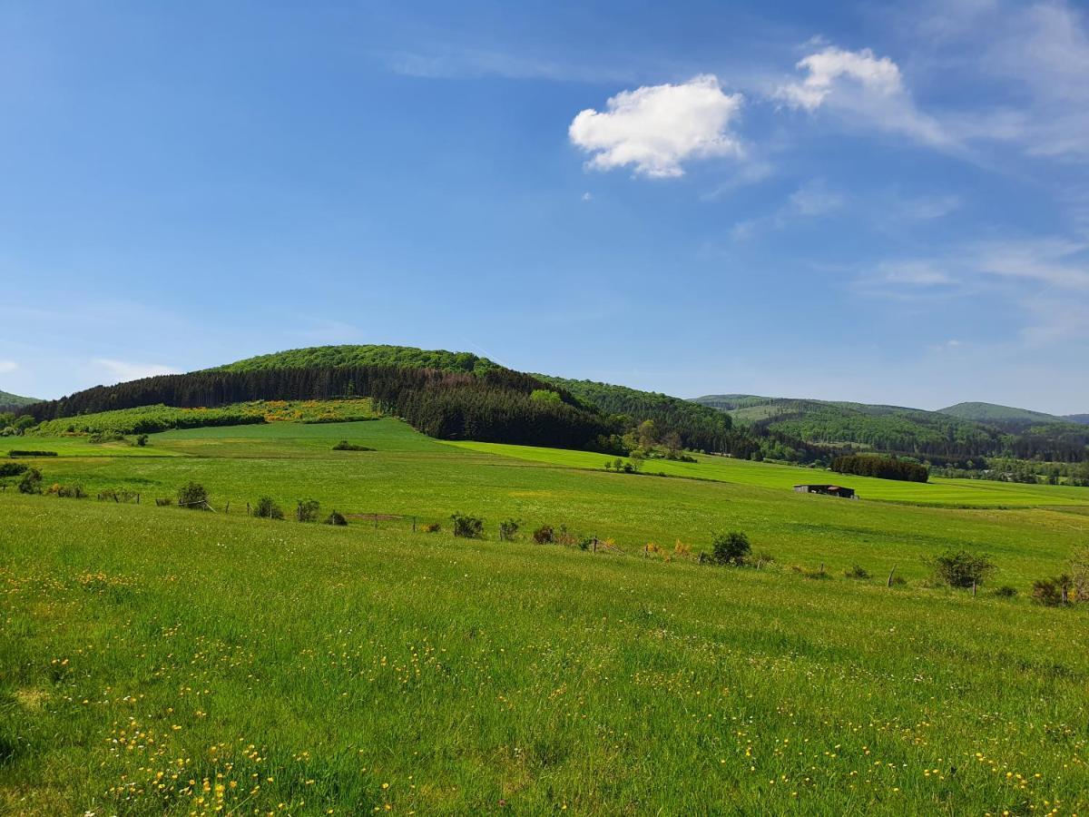 Fewo Talula - Sauerland Mit Hund Medebach Exterior photo