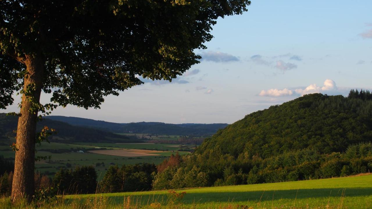 Fewo Talula - Sauerland Mit Hund Medebach Exterior photo