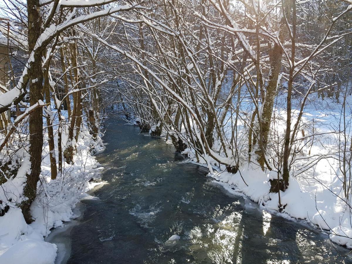 Fewo Talula - Sauerland Mit Hund Medebach Exterior photo
