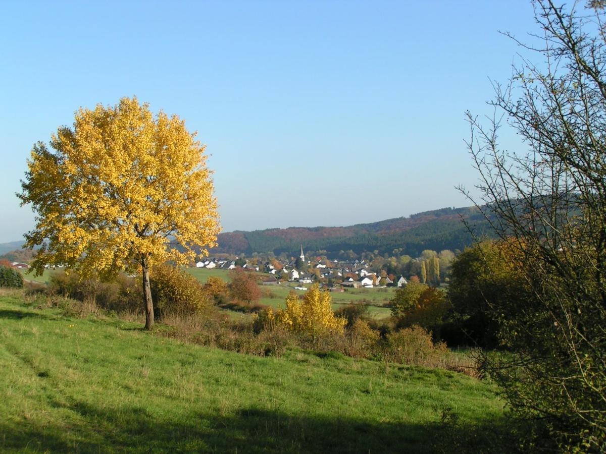 Fewo Talula - Sauerland Mit Hund Medebach Exterior photo