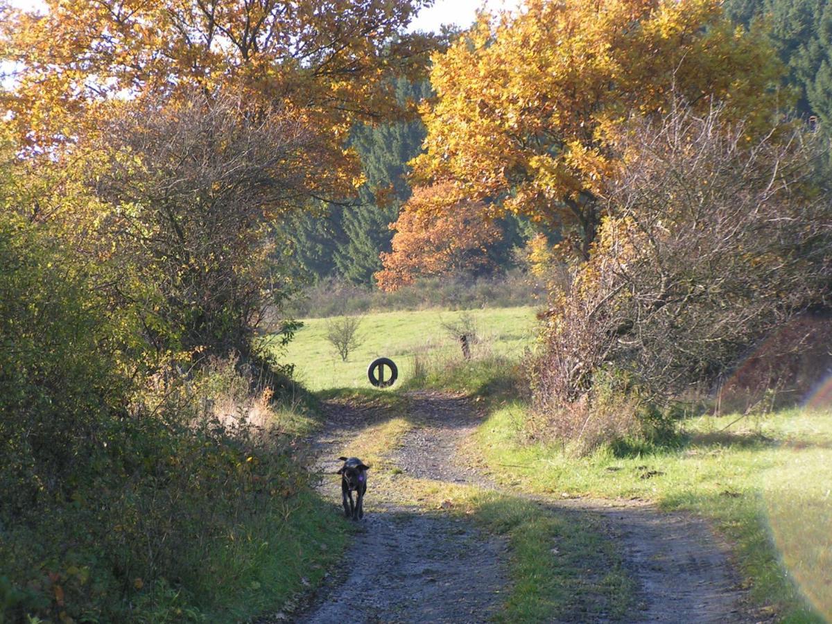 Fewo Talula - Sauerland Mit Hund Medebach Exterior photo